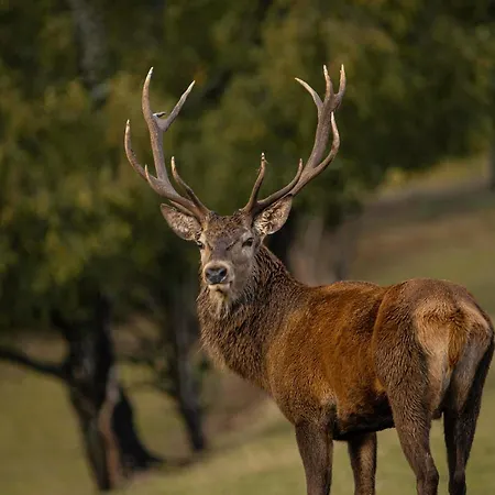 Le Noir Flohay 30 Pers - Malmedy, Vue, Wellness *