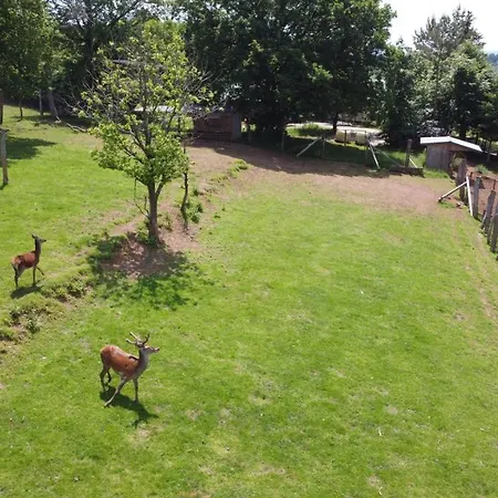 Casa vacanze Le Noir Flohay 30 Pers - Malmedy, Vue, Wellness *