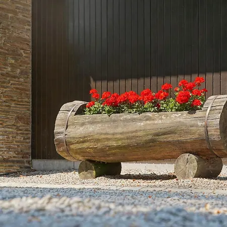 Vakantiehuis Le Noir Flohay 30 Pers - Malmedy, Vue, Wellness