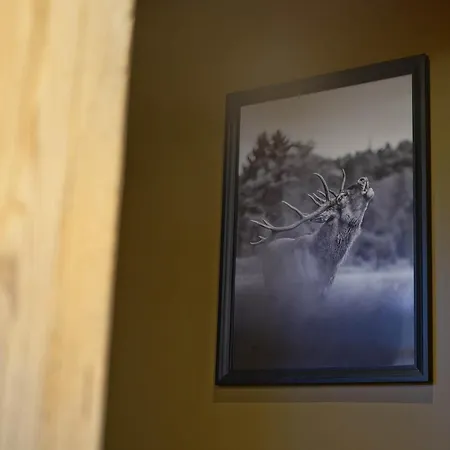 Le Noir Flohay 30 Pers - Malmedy, Vue, Wellness 펜션